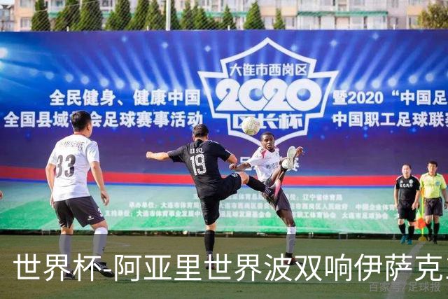 世界杯-阿亚里世界波双响伊萨克1射2传 瑞典5-1突尼斯